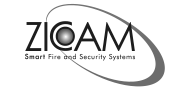 zicam
